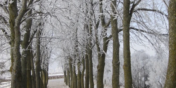 Tallgrass Recovery and Sober Living Homes